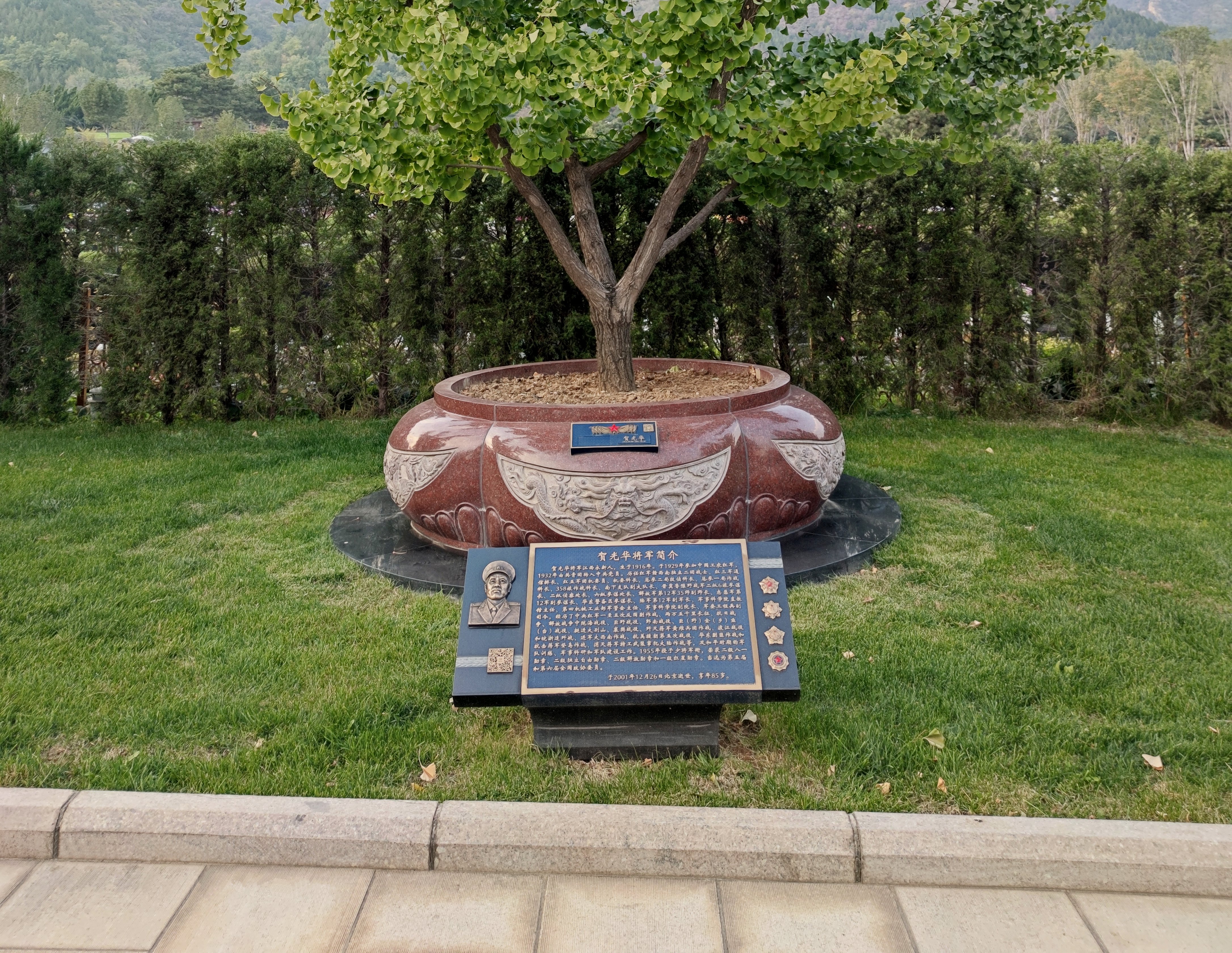 贺光华将军安息之地：九龙坛树葬