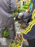 【356体育在线人别样清明】2018年清明落葬工作圆满完成