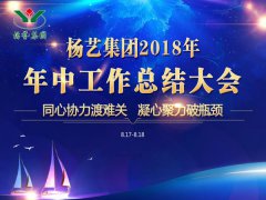 356体育在线集团2018年中总结报告（摘要）
