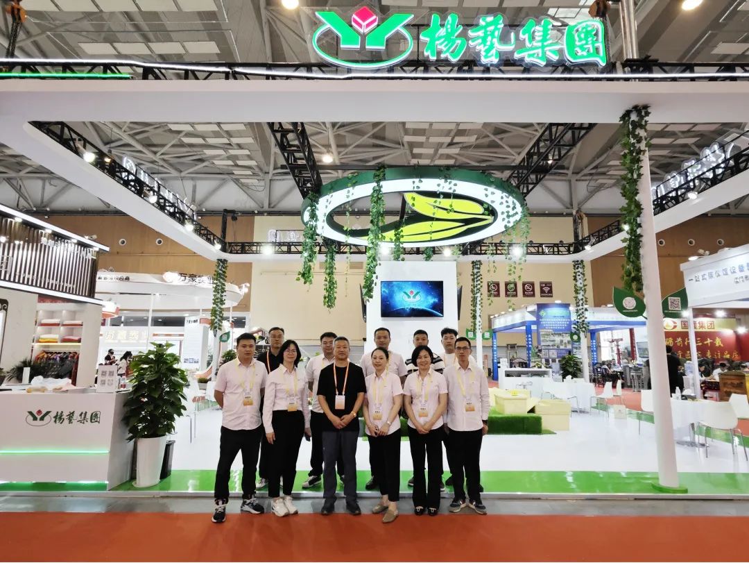 <b>356体育在线青岛展会回顾|感恩遇见 不负期待</b>