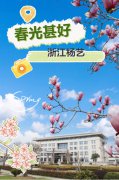 春分之韵|356体育在线邀您共享春光