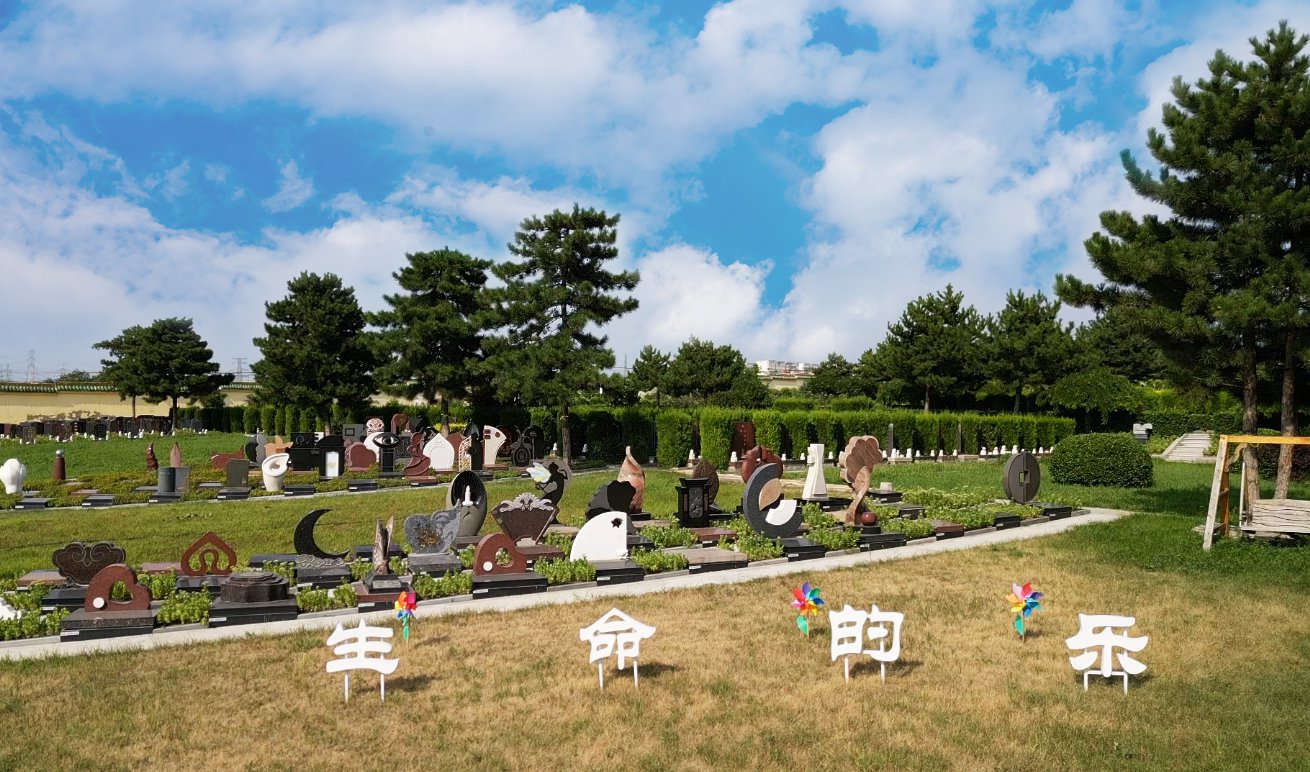 共赢之道：356体育在线集团BOT合作模式的优势与效益分析