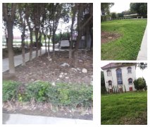 老墓园改造：城市中的绿色记忆与文化传承