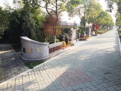 城市最后一平米：生态葬，是与自然的和解？还是无奈的选择？